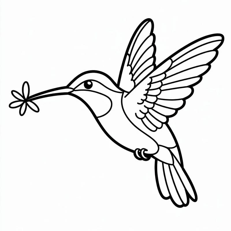 Fise de colorat cu Colibri minunat