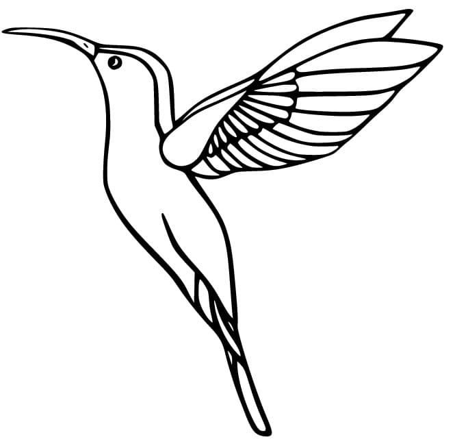Fise de colorat cu Colibri pentru copii de 1 an