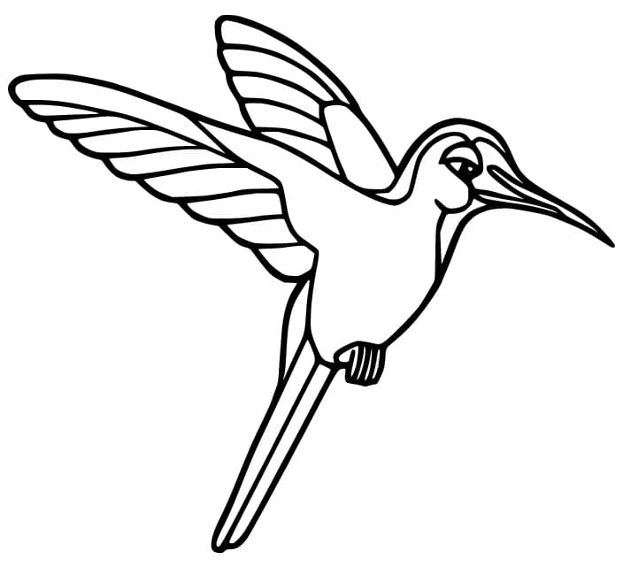 Fise de colorat cu Colibri pentru copii de 2 ani