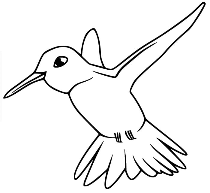 Fise de colorat cu Colibri pentru copii de 3 ani