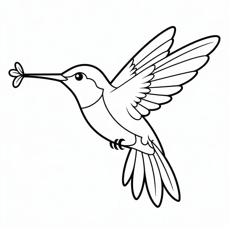 Planse de colorat cu Colibri