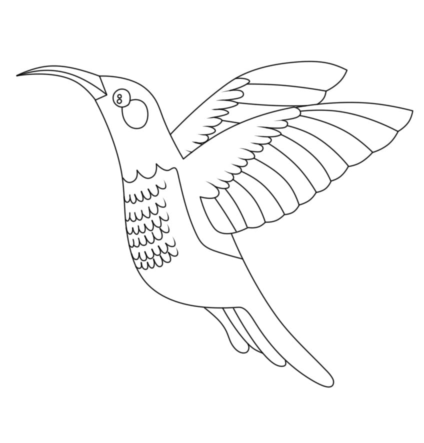 Fise de colorat cu Colibri prietenos