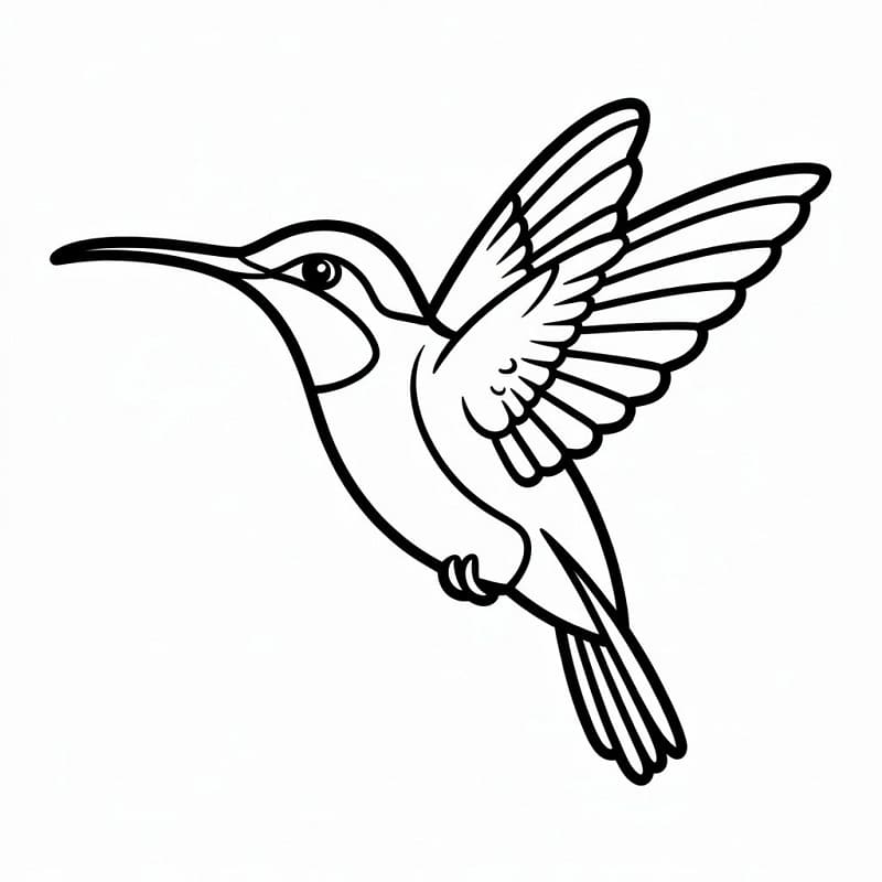 Fise de colorat cu Colibri uimitor