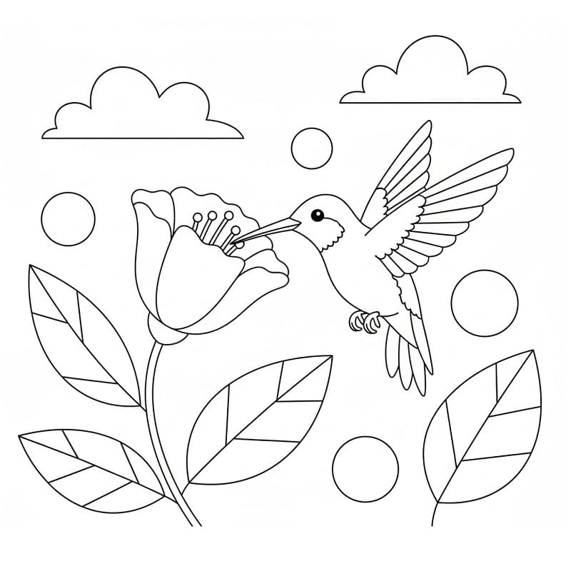 Fise de colorat cu Imagine cu colibri