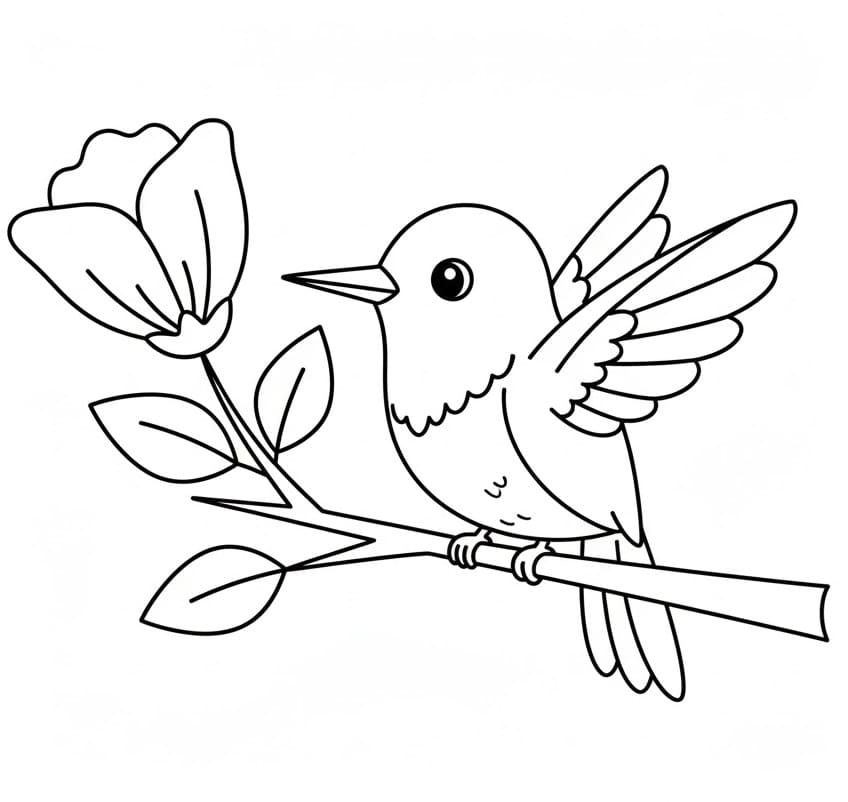 Fise de colorat cu Imagine gratuită cu colibri