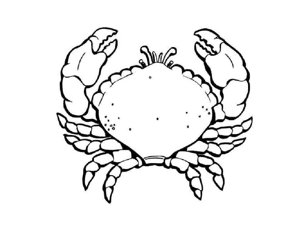 Fise de colorat cu Crab pentru copii de 1 an