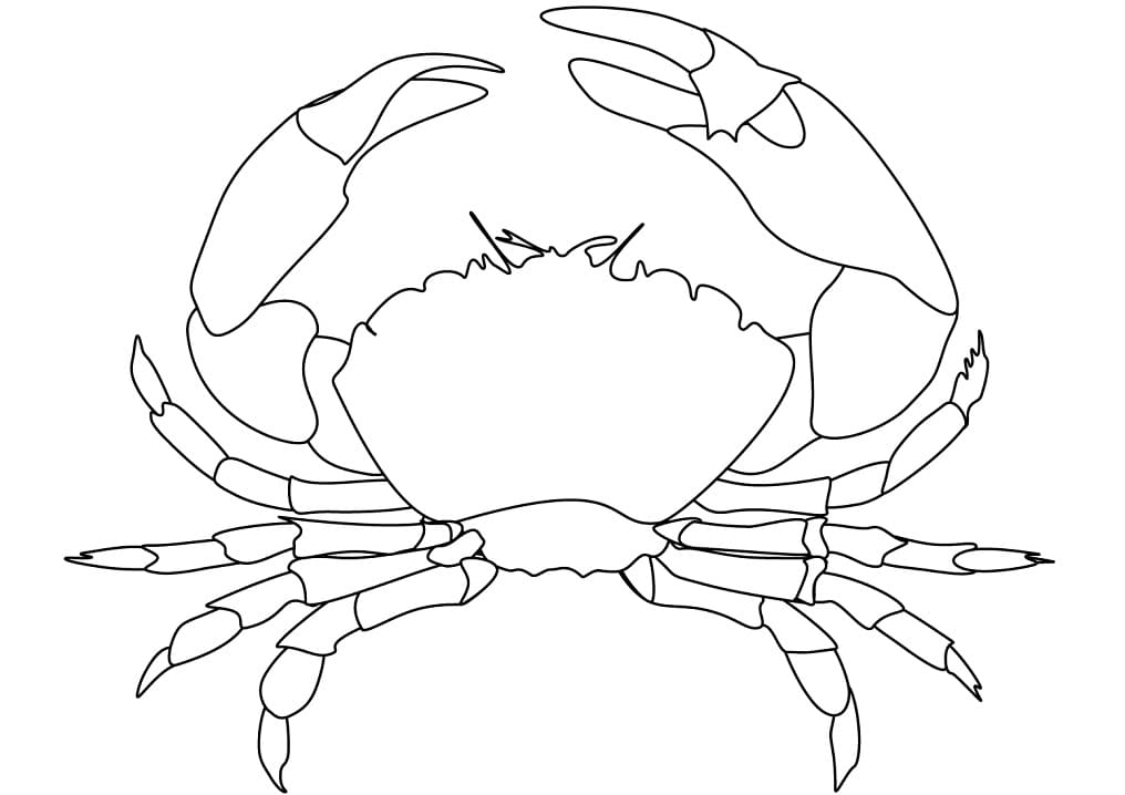 Fise de colorat cu Imprimabil crab pentru copii