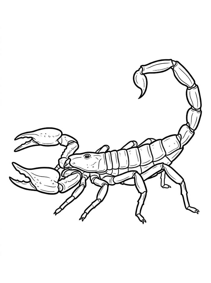 Fise de colorat cu Planșă cu scorpion gratuită de imprimat