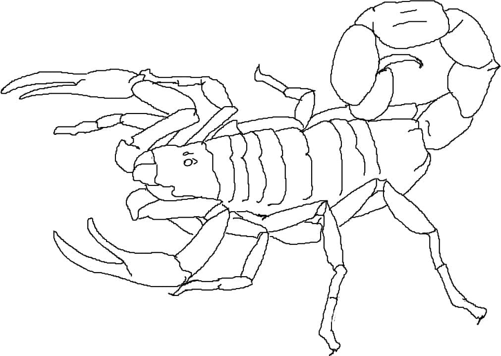 Fise de colorat cu Planșă cu scorpion imprimabilă pentru copii