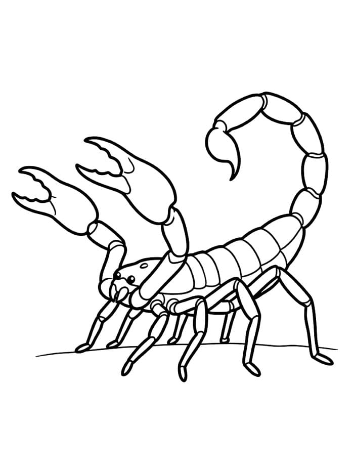 Fise de colorat cu Planșă cu scorpion imprimabilă