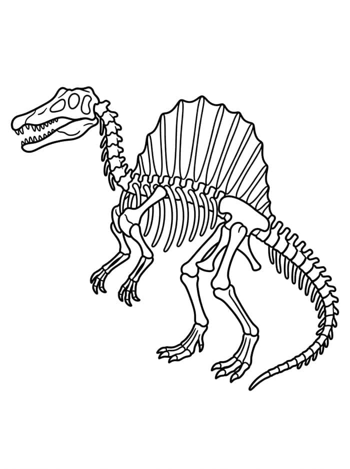 Fise de colorat cu Schelet de Spinosaurus