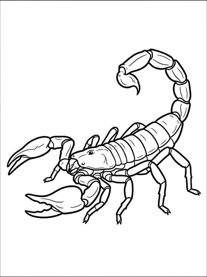 Fise de colorat cu Scorpion de imprimat