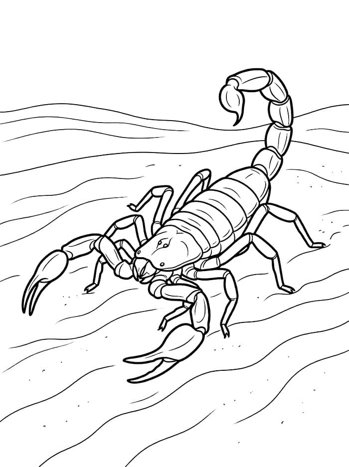 Fise de colorat cu Scorpion fără cost