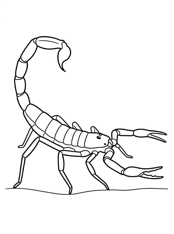 Fise de colorat cu Un scorpion